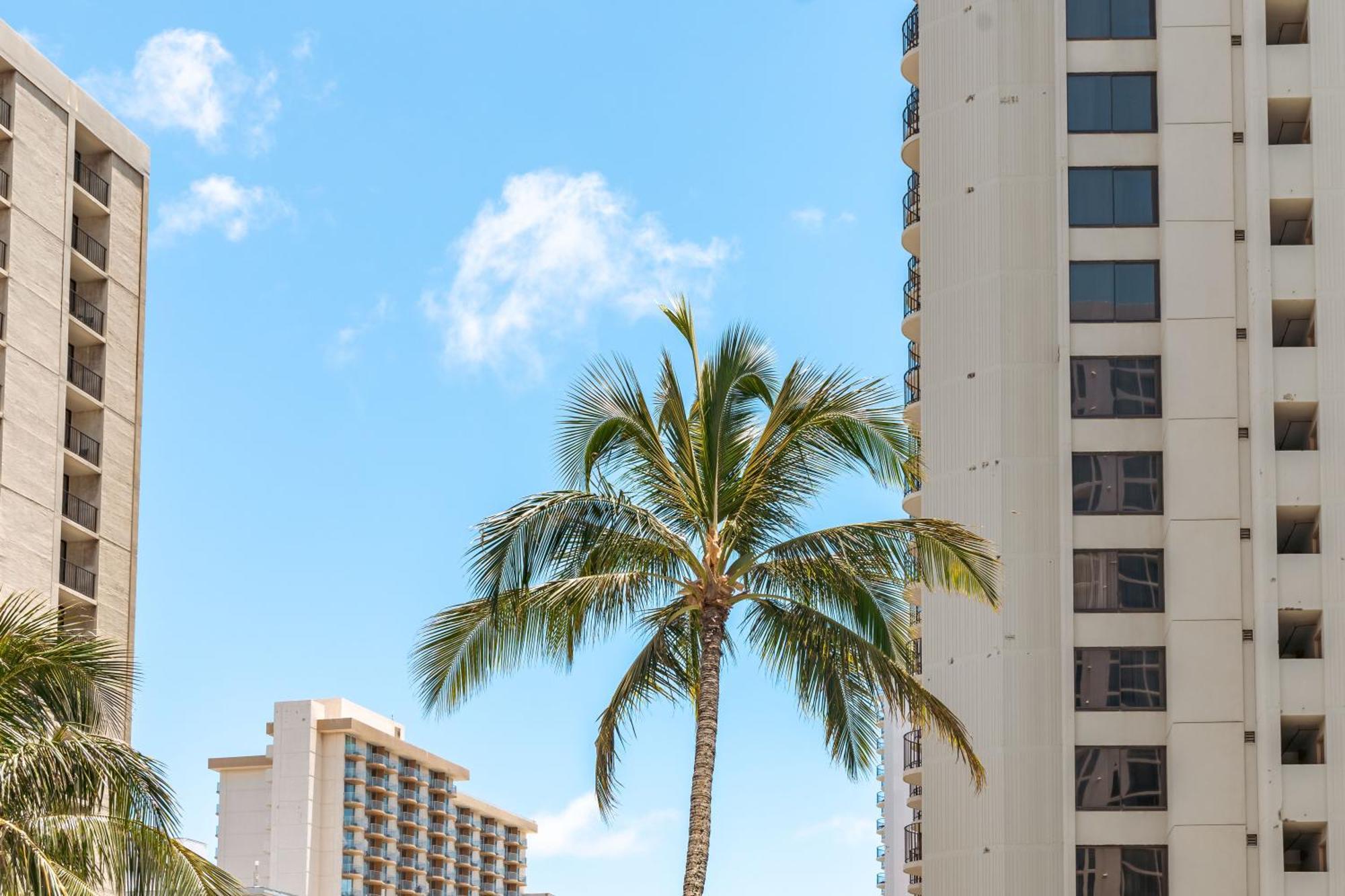 1Br With Great Ocean Views, 1 Block To Waikiki Beach Хонолулу Екстериор снимка